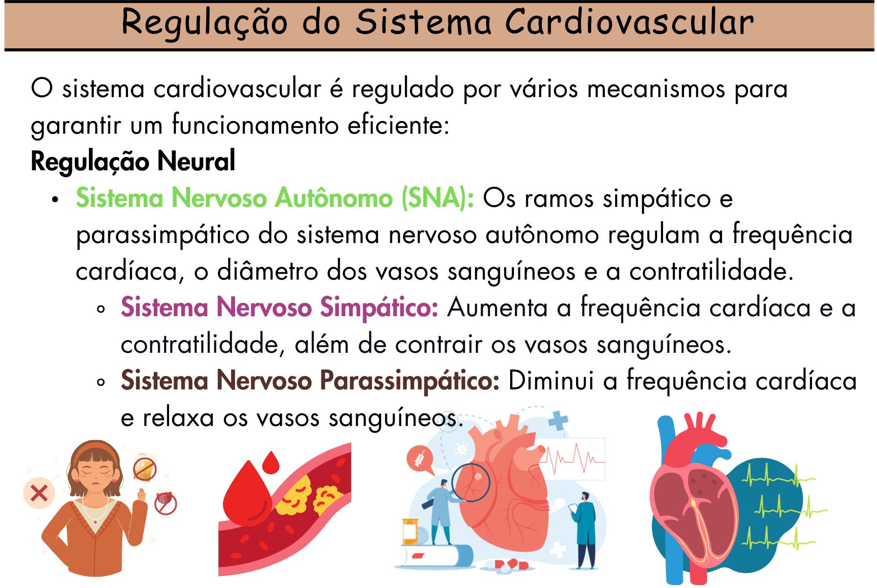 Digital Cardiovascular Flashcards -1.pdf(4)